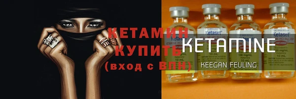 стаф Болотное